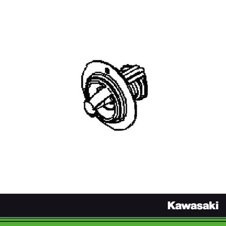 Kawasaki Original Termostat
