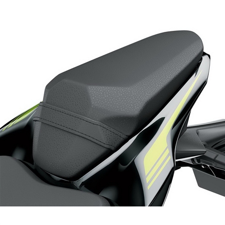 Z900 Extended Reach Passenger Seat