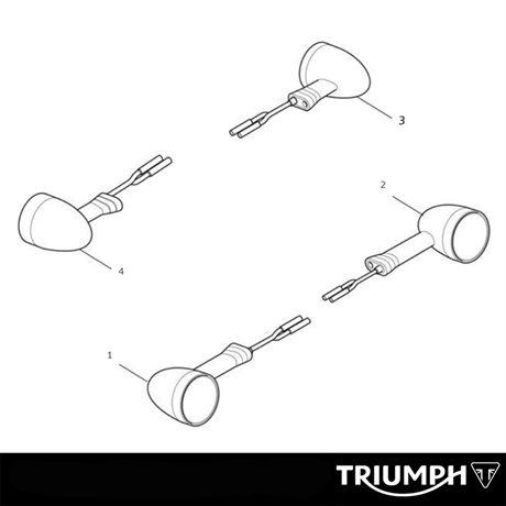 Triumph Original LED Blinkers