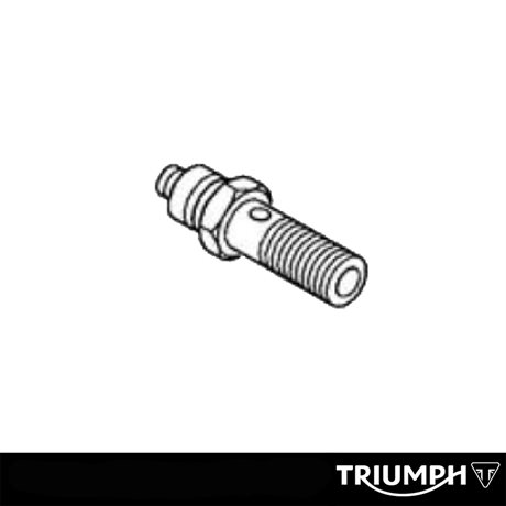 Triumph Original Givare till oljetryck