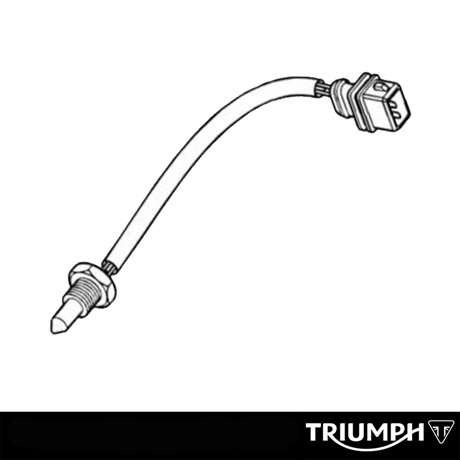Triumph Original Sensor Water Temperature