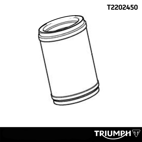 Triumph Original Luftfilter