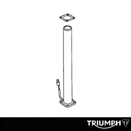 Triumph Original Fuel Level Sender
