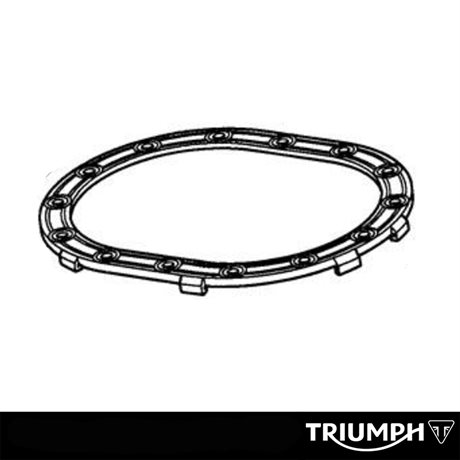 Triumph Seal Fuel Pump Plate E25