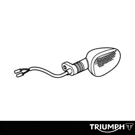 Triumph original komplett blinkers
