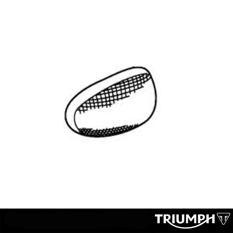 Triumph original vit blinkersglas