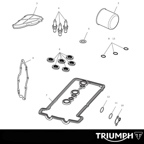Triumph Engine Service Kit 675