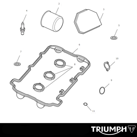 Triumph Engine Service Kit Speed Triple