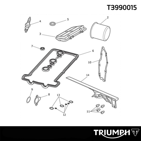 Triumph Engine Service Kit Tiger 800