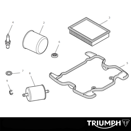Triumph original Engine Service Kit Thruxton RS