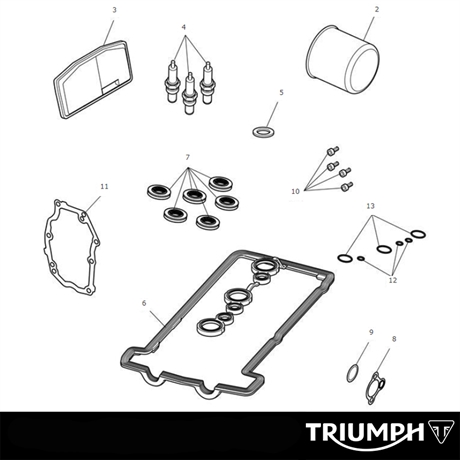 Triumph original Engine Service Kit