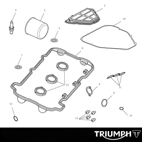 Triumph Engine Service Kit	Tiger Sport vin 750470 >