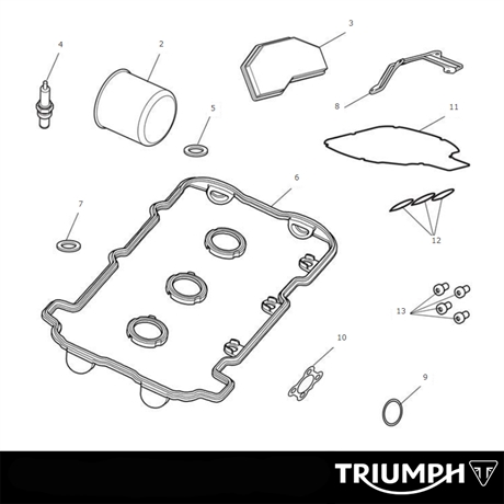 Triumph original Engine Service Kit Speed Triple