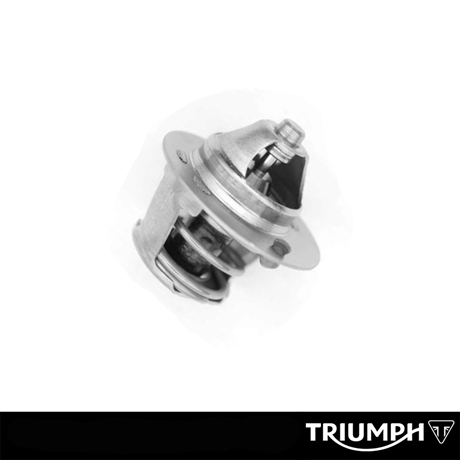 Triumph original Termostat