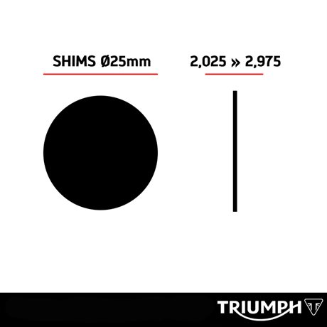 Triumph Shims Dia 25 mm