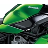Kawasaki Knee Pads