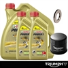 Triumph Servicekit | 6L Olja | Oljefilter | Oljepluggsbricka 14mm
